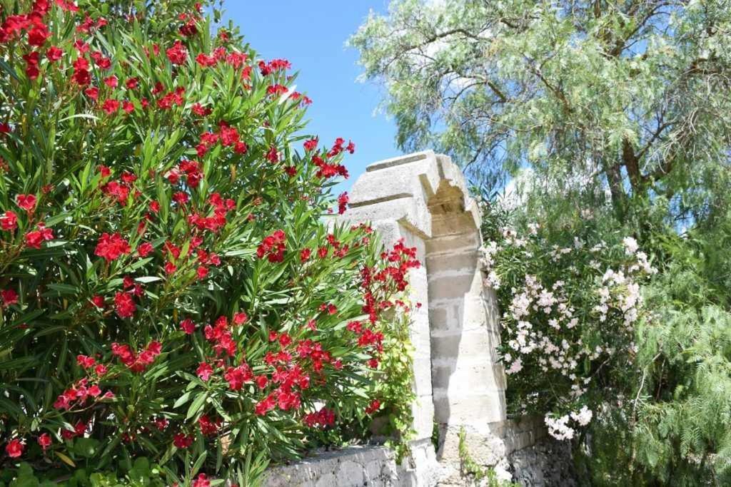 Aia Di San Giorgio Villa Vignacastrisi Exterior foto